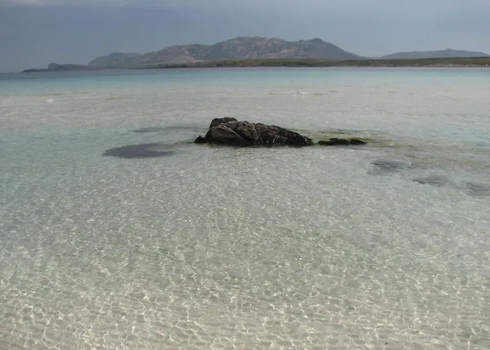 شقة Sardinia Imagination - S M Coghinas T21 *